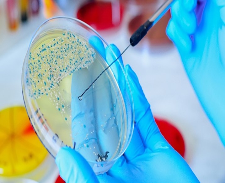 Professional scientists working